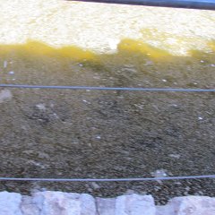 IMG_2517