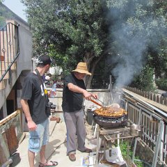 IMG_2534