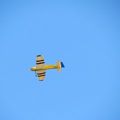 IMG_0111