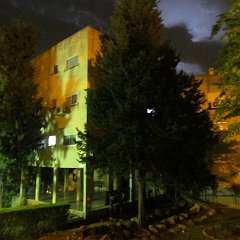 IMG_0008