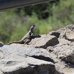 IMG_0073