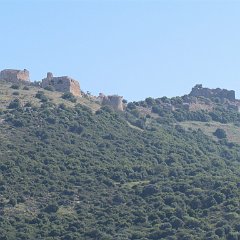 IMG_0078
