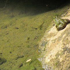 IMG_0088