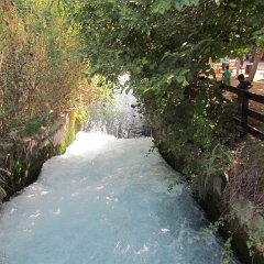 IMG_2559
