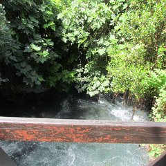 IMG_2560