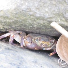 IMG_2568