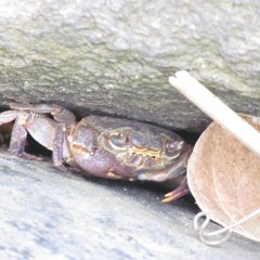 IMG_2569