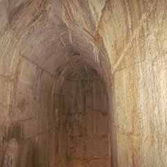 IMG_2888