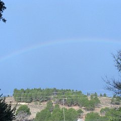 IMG_2871
