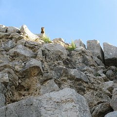 IMG_2885