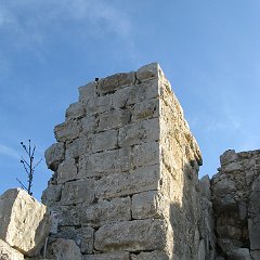 IMG_2888
