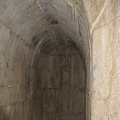 IMG_2895