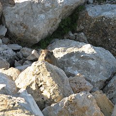 IMG_2904