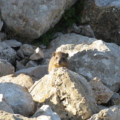 IMG_2905