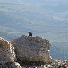 IMG_2906