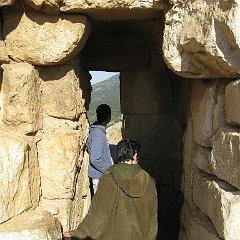 IMG_2911