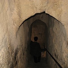 IMG_2913