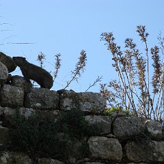 IMG_2917