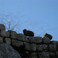 IMG_2918