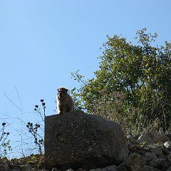 IMG_2921
