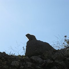 IMG_2922