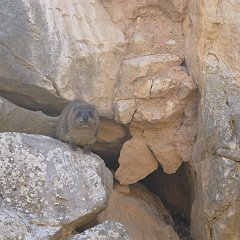 IMG_2923