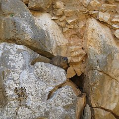 IMG_2925