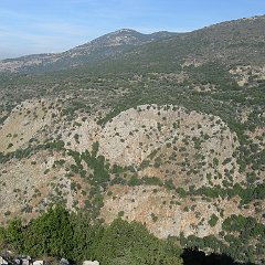 IMG_2926
