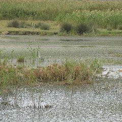 IMG_3996