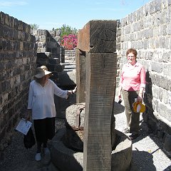 IMG_4061