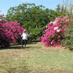 IMG_4064