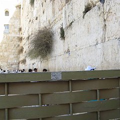 IMG_4092