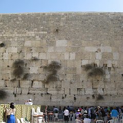 IMG_4094