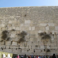 IMG_4095