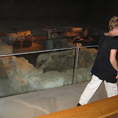 IMG_4105