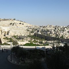 IMG_4116
