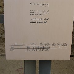 IMG_4141