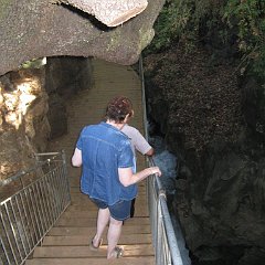 IMG_4211
