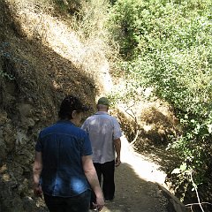IMG_4218