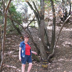 IMG_4221
