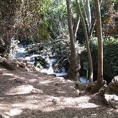 IMG_4222