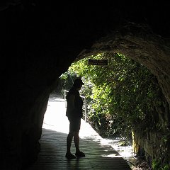 IMG_4241