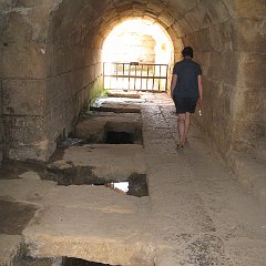 IMG_4247