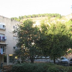 IMG_4256