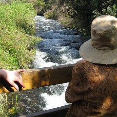 IMG_4271
