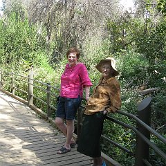 IMG_4273