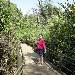 IMG_4274