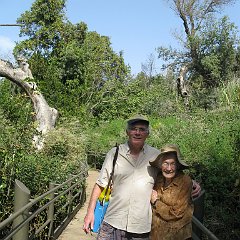 IMG_4278