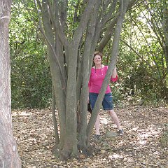 IMG_4285