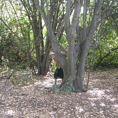 IMG_4286